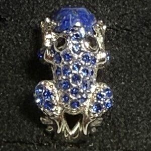 Fabulous Blue and Silver Stainless Steel Frog Size 6 Ring